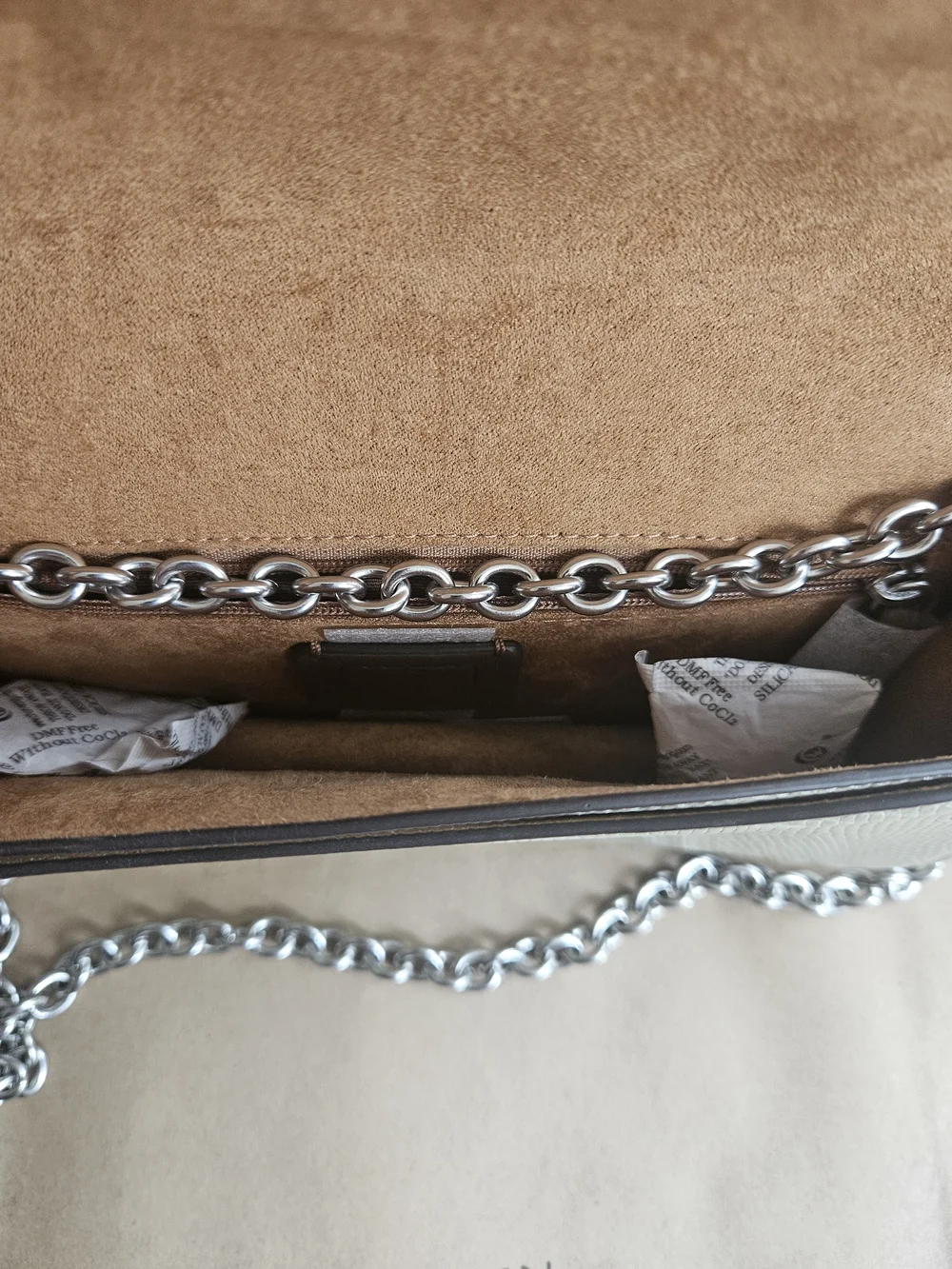Coach Eliza Flap Crossbody Bag Silver / Pale Green CR106